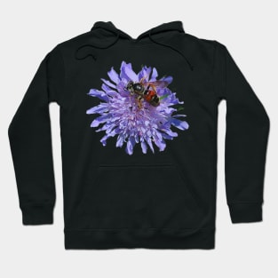 Widow Flower Scabious and a Bee Hoodie